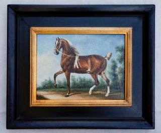 Vintage Oil On Canvas Painting Horse Equine Framed Signed " P Vidal "