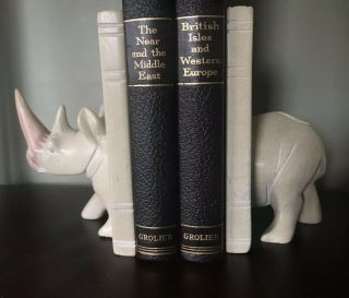 Vintage Set Of Carved Soapstone Rhino Rhinoceros Bookends Pair Set 6”