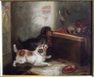 GEORGE ARMFIELD 1810 - 1893 Antique Oil Painting THE TERRIER DOGS & THE FERRET 2