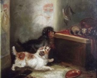 GEORGE ARMFIELD 1810 - 1893 Antique Oil Painting THE TERRIER DOGS & THE FERRET 3
