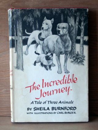 1961 Little Brown 1st Ed.  7th Print The Incredible Journey By Sheila Burnford Vg