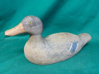 Vintage Victor Animal Trap Co Vintage Glass Eye Drake Wood Duck Decoy
