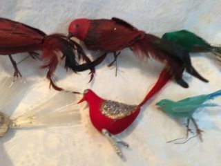 Vintage Set Of 6 Styrofoam Bird Feather Ornaments Christmas