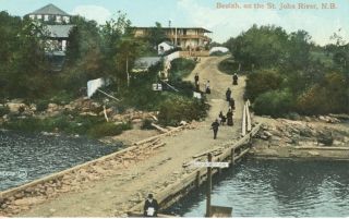 Beulah,  On The St.  John River Nb Brunswick Saint John Vintage Postcard