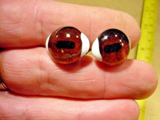 A Pair Vintage Solid Glass Eyes Size 23 Mm Teady Bear Taxidermy Age 1910 Art A4