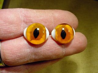 A Pair Vintage Solid Doll Glass Eyes Ø 19 Mm Bisque Doll Teady Bear Age1930 1819