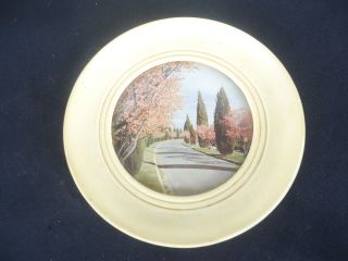 Vintage Dome Convex Glass Plastic Round Picture Frame Blossoms Canberra Souvenir