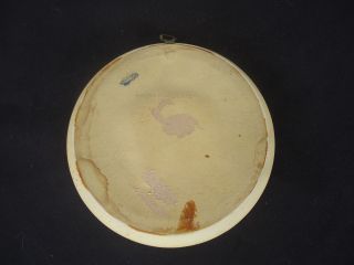 vintage dome convex glass plastic round picture frame blossoms Canberra souvenir 2
