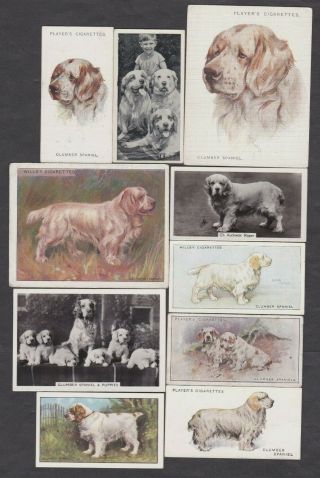 10 Different Vintage Clumber Spaniel Tobacco/cigarette Dog Cards