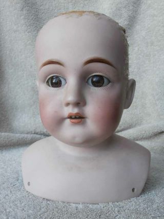 Antique German Kestner 154 Bisque Doll Shoulderplate Head 7 1/4 "