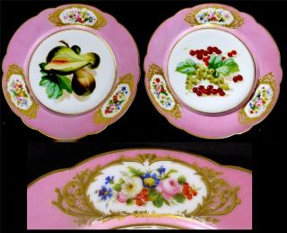 N930 Pair Antique French Sevres Style Porcelain Plates Pink Border Fruit