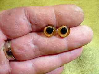 A Pair Vintage Solid Glass Eyes Size 10 Mm Teady Bear Taxidermy Age 1910 A 123
