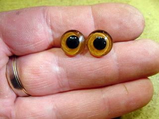 A Pair Vintage Solid Glass Eyes Size 12 Mm Teady Bear Taxidermy Age 1910 A 122