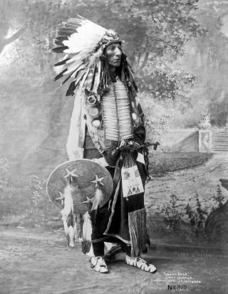 1900 Turning Bear,  Sioux Warrior Vintage Old Photo 8.  5 " X 11 " Reprint