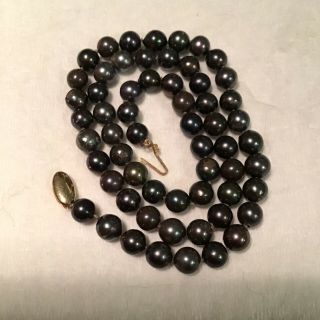Vintage 6.  5 - 7mm Black Akoya Pearl Necklace With 14k Clasp 19”