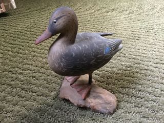 Vintage Mallard Hen Decoy - Hand Carved/painted/glass Eyes On Stand Driftwood