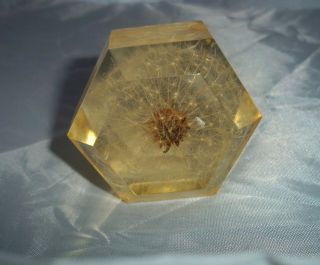 Vtg 60 - 70’s Retro Lucite Acrylic Paperweight Dandelion Seed Pod Make A Wish