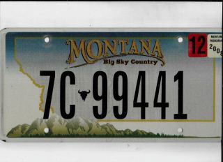 Montana Passenger 2008 License Plate " 7c 99441 " Natural Flathead