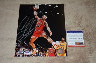 Hof Rebound King Dennis Rodman Signed Autographed 8x10 Photo Psa/dna Z99814