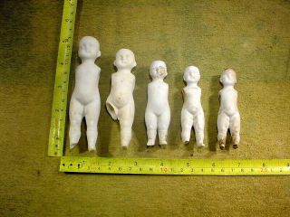 5 X Excavated Vintage Bisque Doll Body Age 1890 Hertwig Art 14092