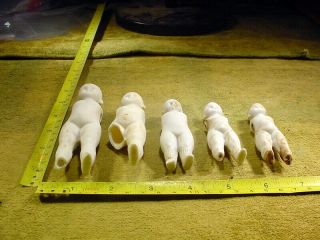 5 x excavated vintage bisque doll body age 1890 Hertwig Art 14092 2