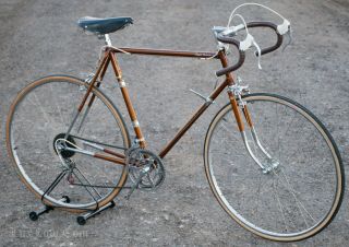 Vintage Raleigh Course Road Bike Carlton Bicycle Reynolds 531 Brooks Huret