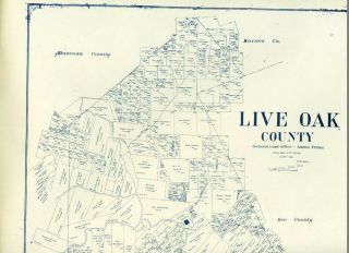 Old Live Oak County Texas General Land Office Owner Map Oakville George West 2