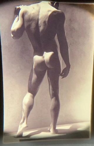 (8) Vintage 35mm Art Slide Nude Man Male Gay Interest Buff Beefcake Stud