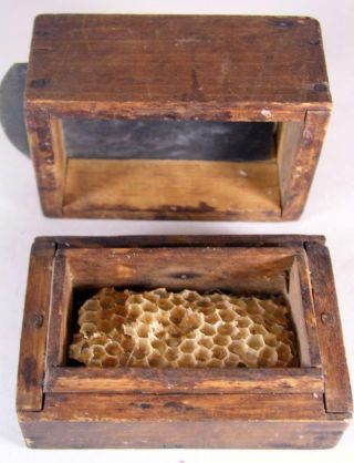 Antique Wooden Pine Bee Lining Or Hunting Box Apiary Beekeeping W Glass Window