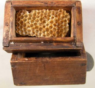 Antique Wooden Pine Bee Lining Or Hunting Box Apiary Beekeeping W Glass Window 3