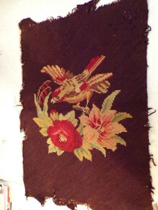 Vintage Needlepoint Piece Brown With Bird And Flowers 9.  5 X 11
