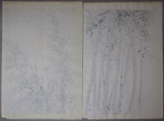 A Fine Two Japanese Bamboo Woodblock Prints by Eichi Kotozuka: 2