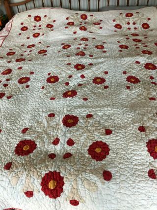 Early Red And White Applique Quilt - Gorgeous Feather Quilting