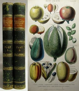 Antique 1874 A History Of The Vegetable Kingdom Botany Hand Colored Plates Rhind