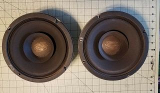 Vintage 8 " Electro Voice Wolverine Speakers Ls - 8 Bi - Axial