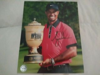 Tiger Woods Personally Hand Signed 8 X 10 Photo - -