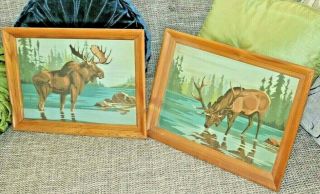2 Vintage Paint By Number Wild Life Pictures Bull Elk & Bull Moose W/ Frames