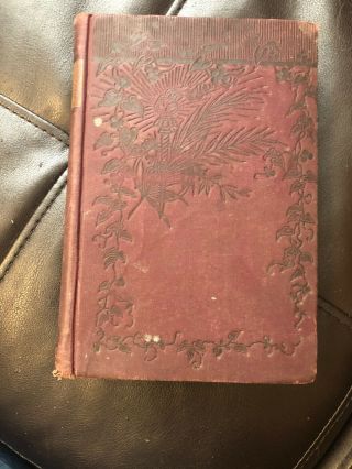 Antique Black Beauty By Anna Sewell - Old Book