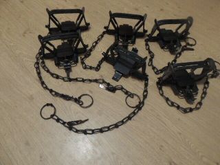 6 - 3 Victor Coil Spring Traps - Offset Jaws,  Very Strong