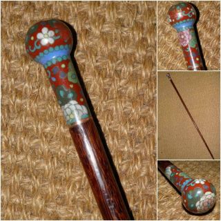 Antique Ladies Walking Stick/cane With A French Cloisonné Rounded Ball Top