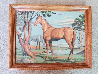 Vintage Mid Century Oil Paint By Number Painting - Horses - Framed