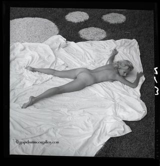 Bunny Yeager C.  1950s Pin - up Camera Negative Photograph Nude Inez Pinchot Lovely 2