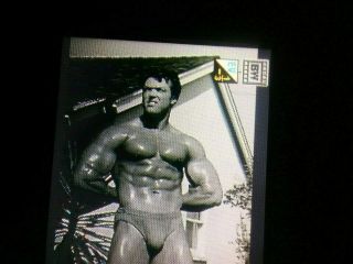 1 Large Negative Vintage Bodybuilder Don Peters Pristine Mozee Photo