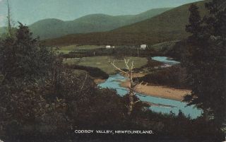 Codroy Valley Newfoundland Canada Vintage Postcard