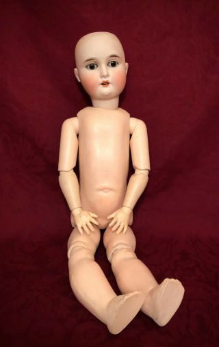 24 " Antique German Bisque Doll " Special " Adolf Wislizenus - Perfect Head - Great