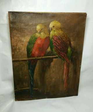 Old Antique Vintage Signed Oil Canvas Painting 2 Parrots Birds W/ Frame