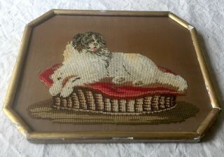 Antique Dog Woolwork Needlepoint Tapestry Framed Picture King Charles Spaniel