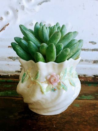 Vintage Belleek Floral Vase With Pink Applied Flowers Roses