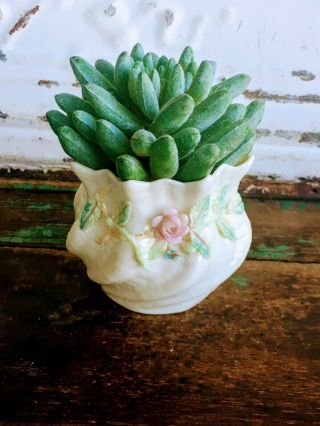 Vintage Belleek Floral Vase with Pink Applied Flowers Roses 3
