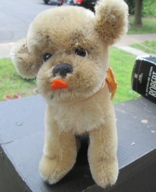 Vintage Steiff MOPSY Puppy Dog mohair - swivel head - tongueout Ear Button Missing. 2